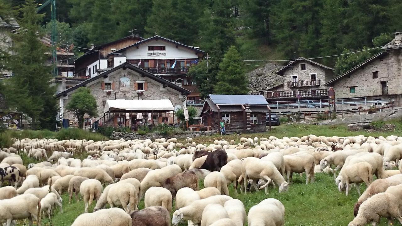 Chalet Del Lago Ceresole Reale Bagian luar foto