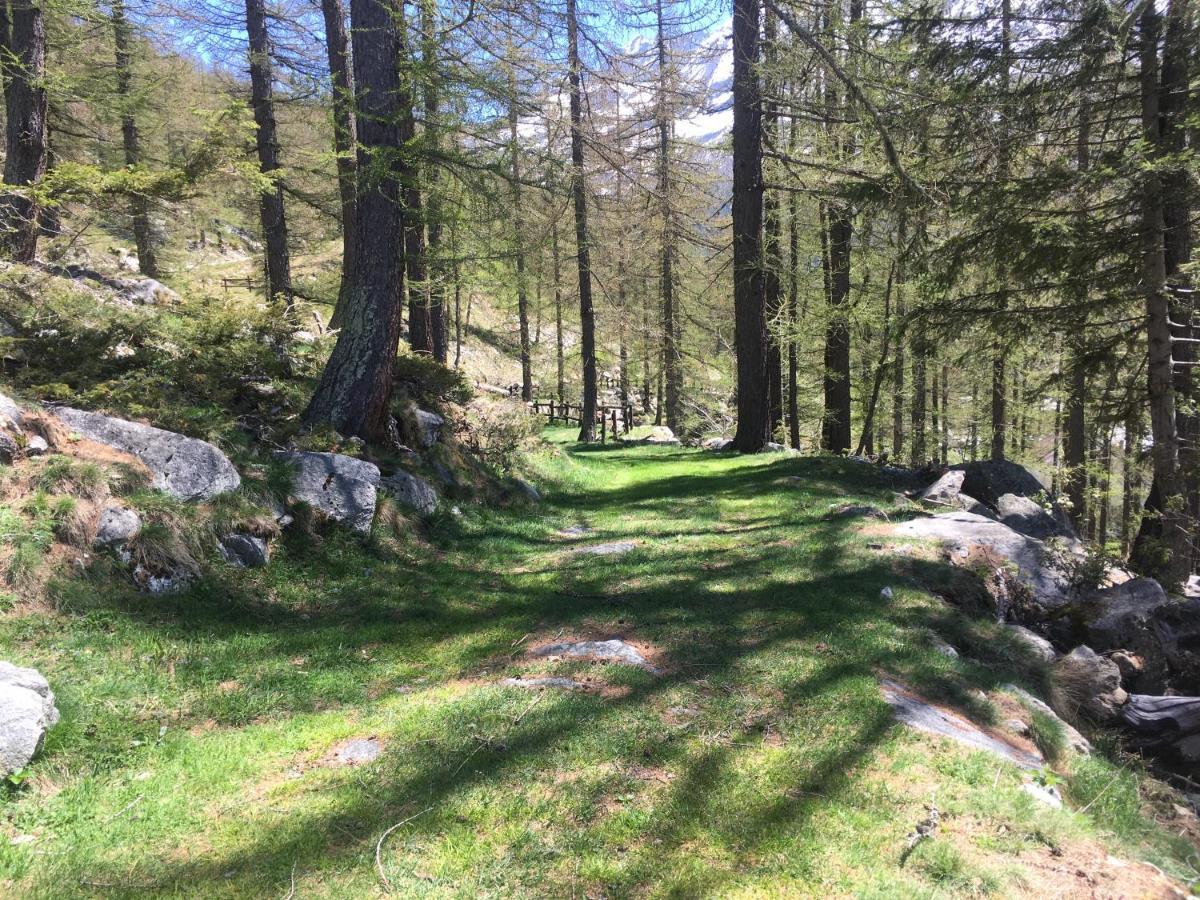 Chalet Del Lago Ceresole Reale Bagian luar foto