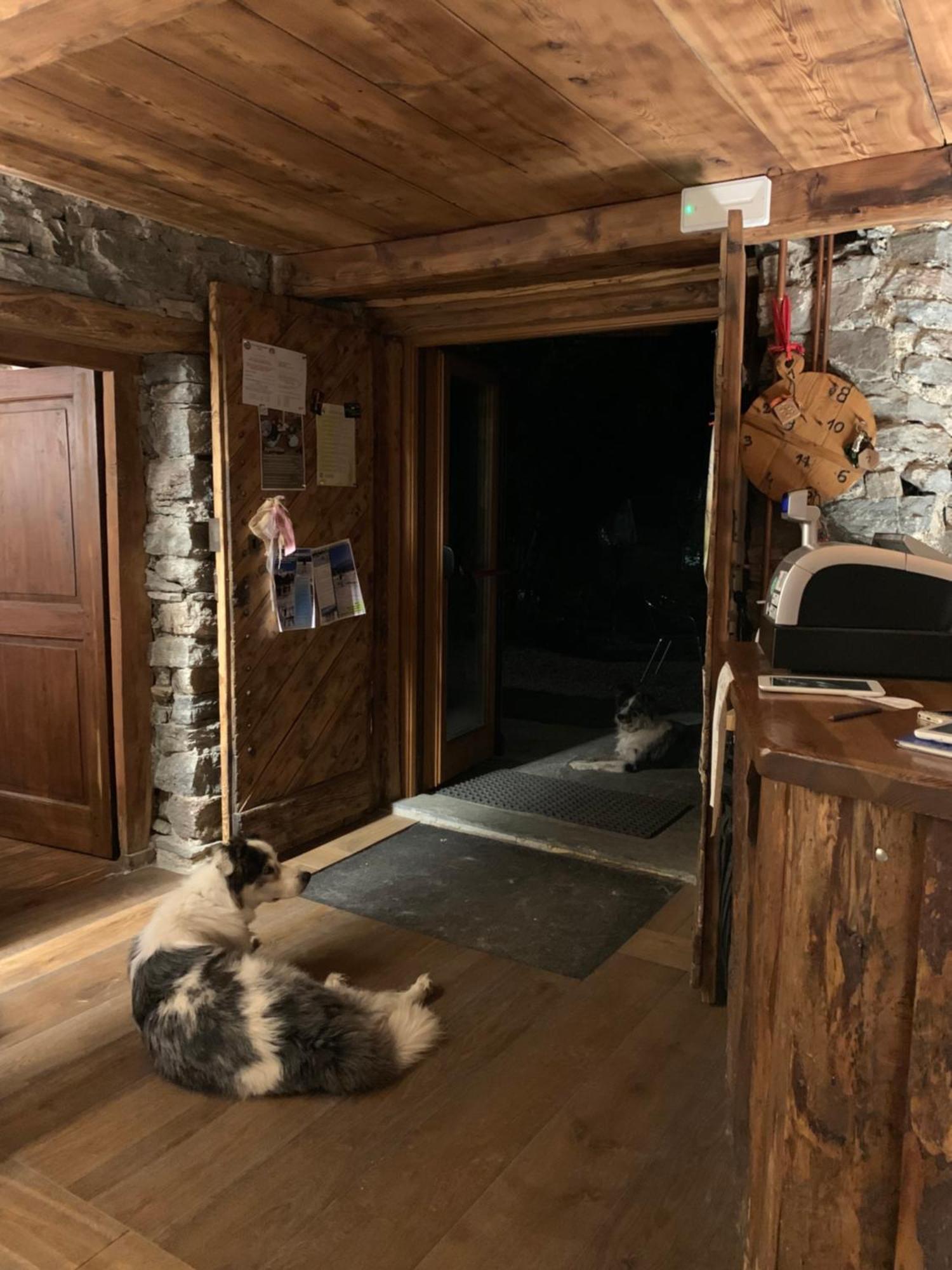 Chalet Del Lago Ceresole Reale Bagian luar foto